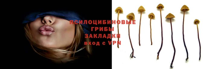 mdpv Михайлов
