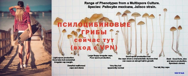 mdpv Михайлов